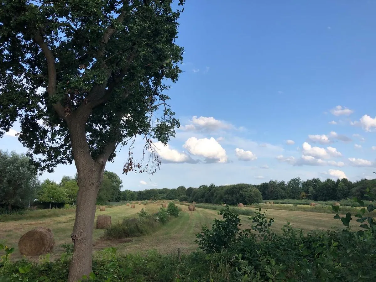 De Heidestroper Bed & Breakfast Eindhoven